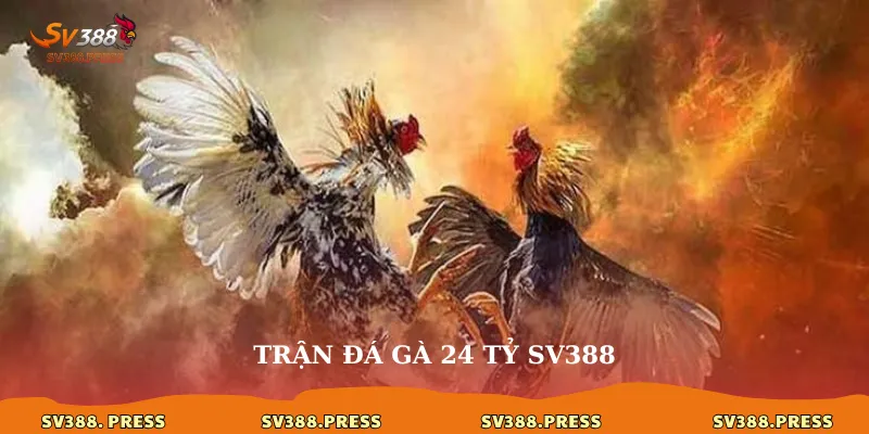 tran-da-ga-24-ty-sv388
